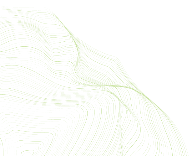 shape